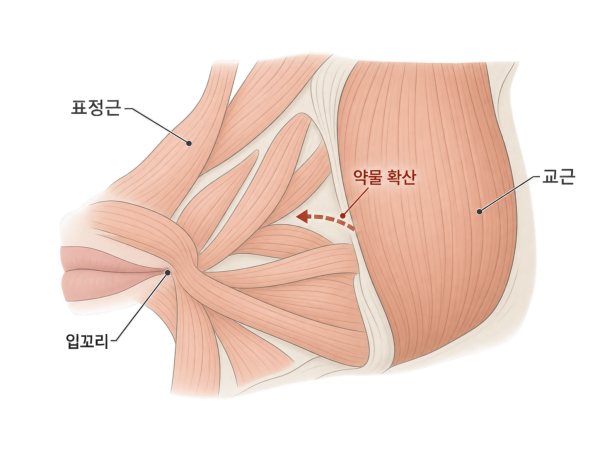 표정 변화나 악화되는 통증은 시술 병원에서 확인하고, 삼킴·호흡·발음 변화와 전신 힘 빠짐은 즉시 의료기관에 도움을 요청해야 한다 - 광주 턱보톡스 | 미미썸의원 광주광천점
