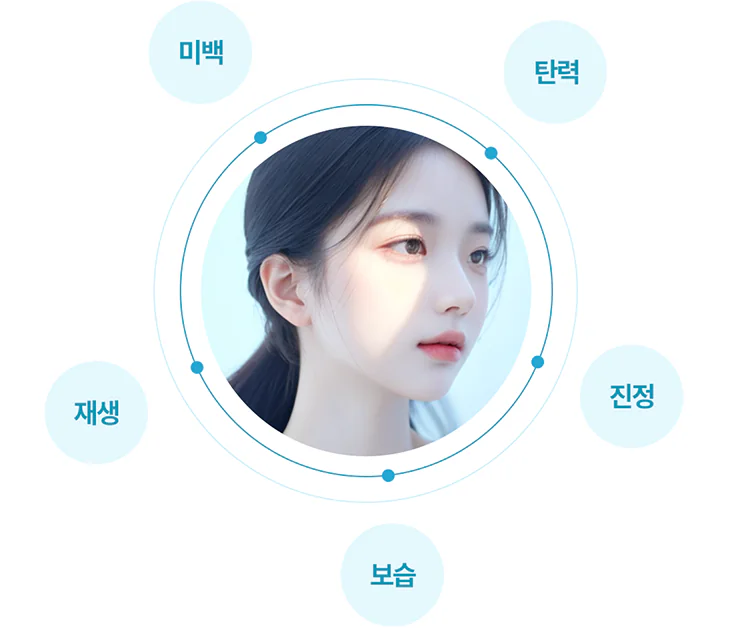 미백, 탄력, 재생, 진정, 보습